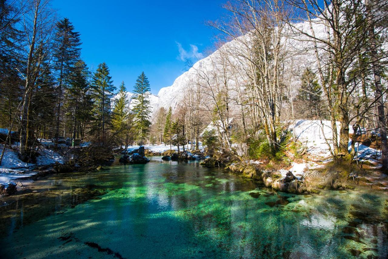 Hotel Zotlar House à Bohinj Extérieur photo